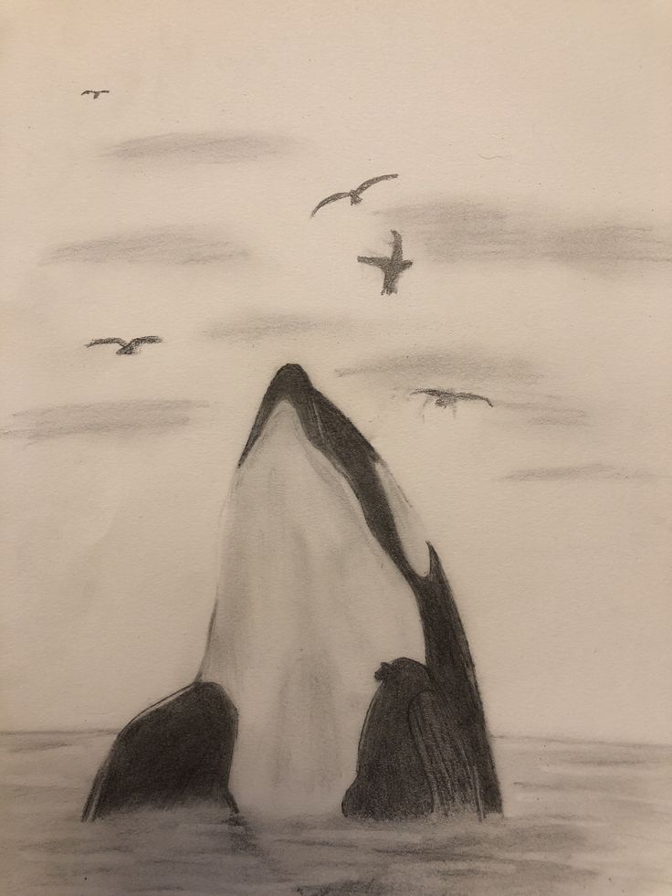 Apenas inspiração de desenho